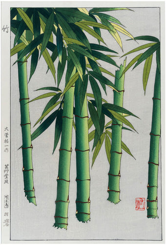 OSUGA, Yuichi. Bamboo.