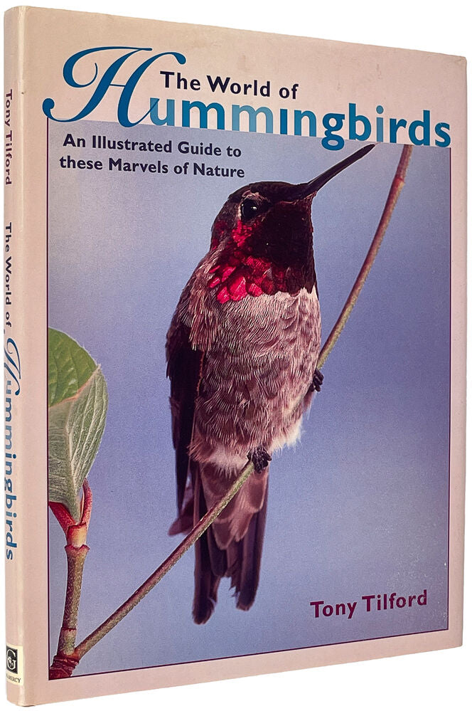 The World of Hummingbirds