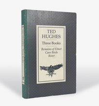 Load image into Gallery viewer, Three Books: Remains of Elmet Cave Birds River