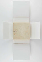 Load image into Gallery viewer, Grapefruit