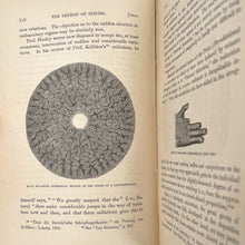 Load image into Gallery viewer, On the Genesis of Species