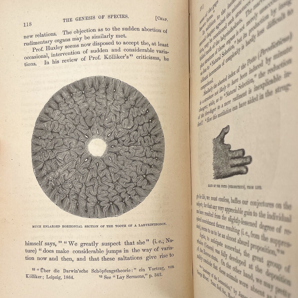 On the Genesis of Species by St. George Jackson Mivart | Project