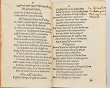 Load image into Gallery viewer, CURIONE, Celio Secondo. Pasquillorum tomi duo. Quorum primo versibus ac rhythmis, altero soluta oratione conscripta quamplurima continentur, ad exhilarandum, confirmandumque ….