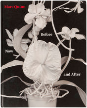 Load image into Gallery viewer, Before Now and After