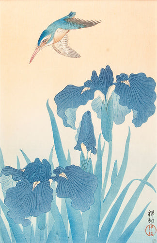 Kingfisher and Irises