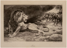 Load image into Gallery viewer, The Encyclopaedia of Sport