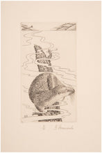 Load image into Gallery viewer, Cornwall: An Interior Vision