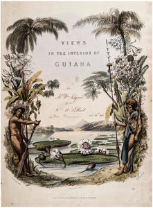 Twelve views in the interior of Guiana: From Drawings executed by …