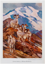 Load image into Gallery viewer, In the Shadow of Mount McKinley