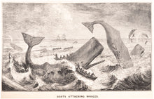 Load image into Gallery viewer, The Natural History of the Sperm Whale ... To Which is Added …