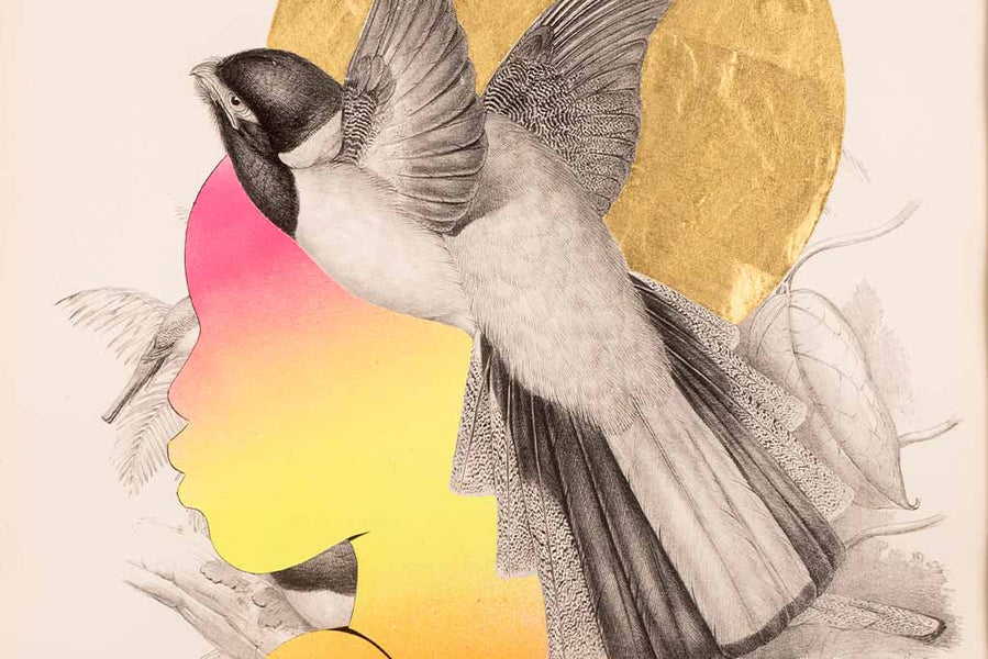 The Rugman meets John Gould: Lady Birds