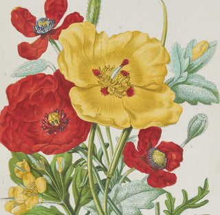 Botany