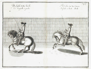 HORSEMANSHIP.DIEPENBEKE, Abraham van. Die halbe volta linets. Passaden in der Carrera.