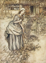Load image into Gallery viewer, RACKHAM, Arthur. Maidens call it love-in-idleness.
