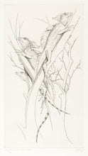 Load image into Gallery viewer, THEYS, Freddy. Double-crested Basilisk