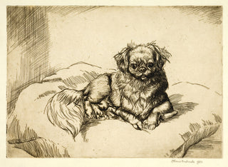 Athene Andrade Pekinese