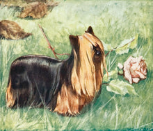 Load image into Gallery viewer, George Vernon Stokes (1873-1954) The Yorkshire Terrier