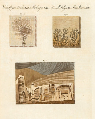BERTUCH, Friedrich Justin. Fig 1 and 2. Dendrites. Fig 3. The Florence Marble