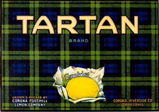 Anon Tartan