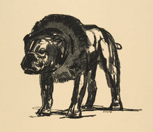 Load image into Gallery viewer, JOUVE, Paul. Bull-dog.