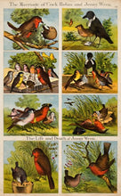 Load image into Gallery viewer, E.B. The marriage of Cock Robin and Jenny Wren.