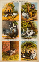 Load image into Gallery viewer, E.B. The Ugly Little Duck