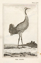 Load image into Gallery viewer, Martinet, Francois Nicolas. The Crane (pl.175).