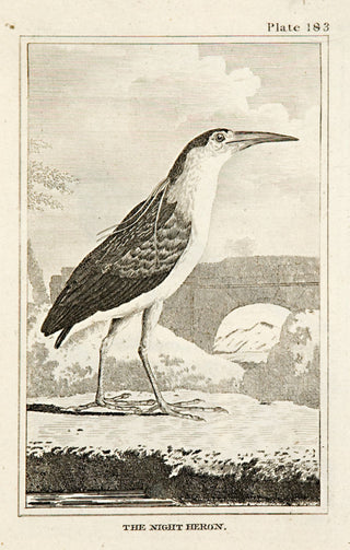 Martinet, Francois Nicolas. The Night Heron (pl.183).