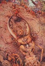 Load image into Gallery viewer, E. J. Detmold. The Ant Lion.