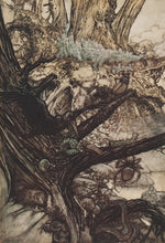 Load image into Gallery viewer, RACKHAM, Arthur. Never harm, Nor spell nor charm, Come our lovely lady nigh.