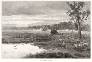 SCHELL, Fred B. The Darling Downs.