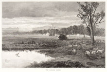 Load image into Gallery viewer, SCHELL, Fred B. The Darling Downs.