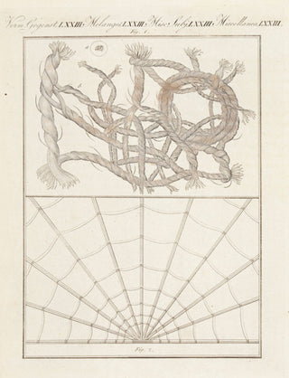BERTUCH, Friedrich Justin. Microscopic Subjects. Miscellanea. LXXIII.