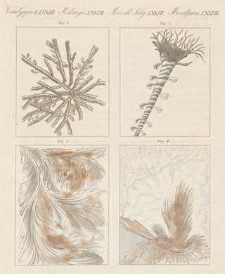 BERTUCH, Friedrich Justin. Frozen Glass-Planes. Miscellanea. LXXVII.