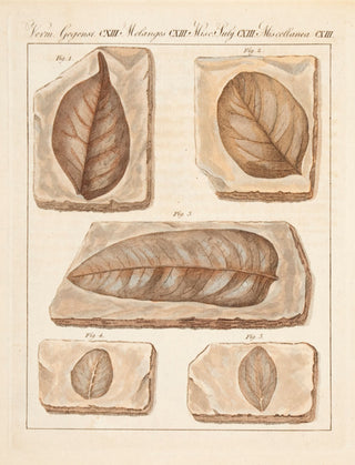 BERTUCH, Friedrich Justin. Miscellanea. CXIII