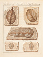 Load image into Gallery viewer, BERTUCH, Friedrich Justin. Miscellanea. CXIII