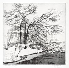 Load image into Gallery viewer, GALLI, Federica. Lanca dell'Inn.