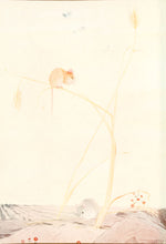 Load image into Gallery viewer, DETMOLD, Edward J. The Town Mouse and the Country Mouse.