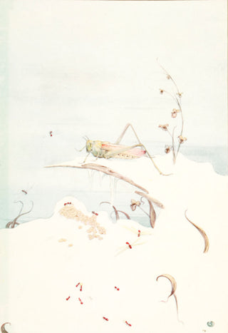 DETMOLD, Edward J. The Ants and the Grasshopper.
