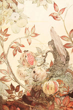 Load image into Gallery viewer, DETMOLD, Edward J. Pomegranate, Apple-tree, and Bramble.