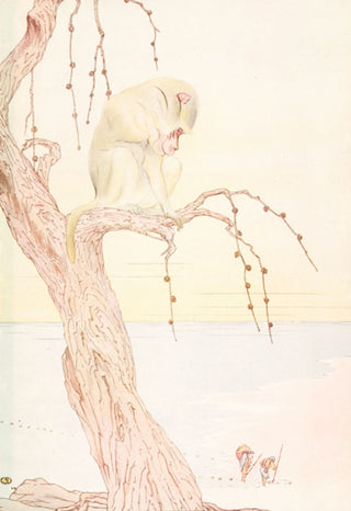 DETMOLD, Edward J. The Monkey and the Fisherman.