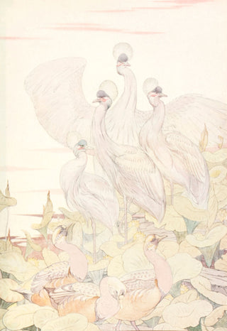 DETMOLD, Edward J. The Geese and the Cranes.