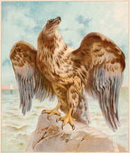 Load image into Gallery viewer, NISTER, Ernest. [The Eagle.]