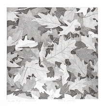 Load image into Gallery viewer, GALLI, Federica. Bosco Pisani Dossi: foglie di quercia rossa.