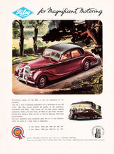 Load image into Gallery viewer, RILEY. Riley for Magnificent Motoring.