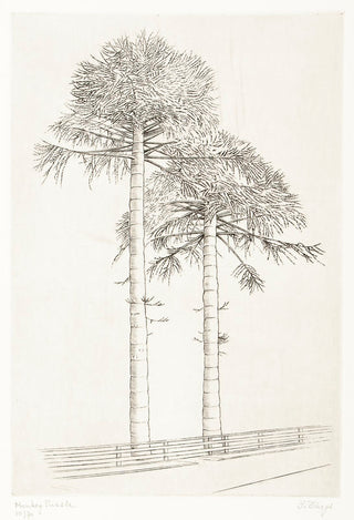 THEYS, Freddy. Monkey Puzzle.