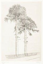 Load image into Gallery viewer, THEYS, Freddy. Monkey Puzzle.