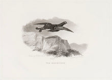 Load image into Gallery viewer, PARR, Robert. The Black-Cock.