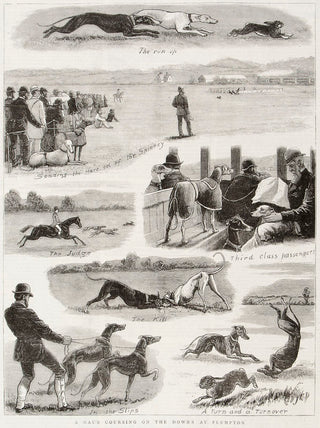 The Graphic. A Day's Coursing on the Downs at Plumpton.