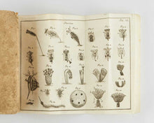 Load image into Gallery viewer, BAKER, Henry. Beyträge zu nützlichem und vergnügendem Gebrauch und Verbesserung des Microscopii: in zwey Theilen … Aus dem Englischen ins Deutsche übersetzt.